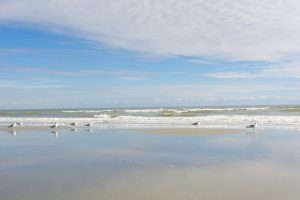 Brunswick Plantation is only minutes from several of the areas top rated beaches like Ocean Isle Beach