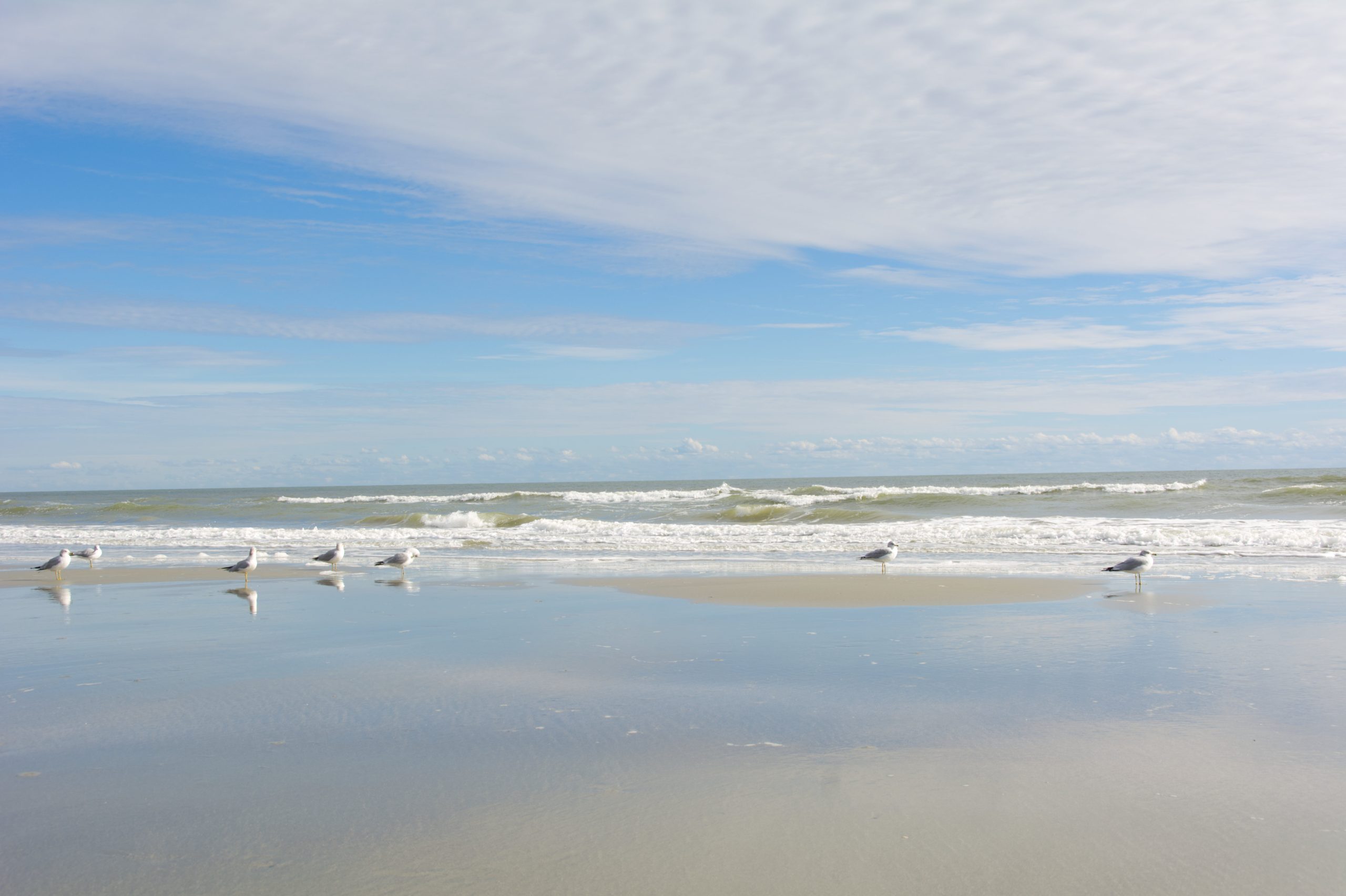 Ocean Isle Beach, NC at low tide